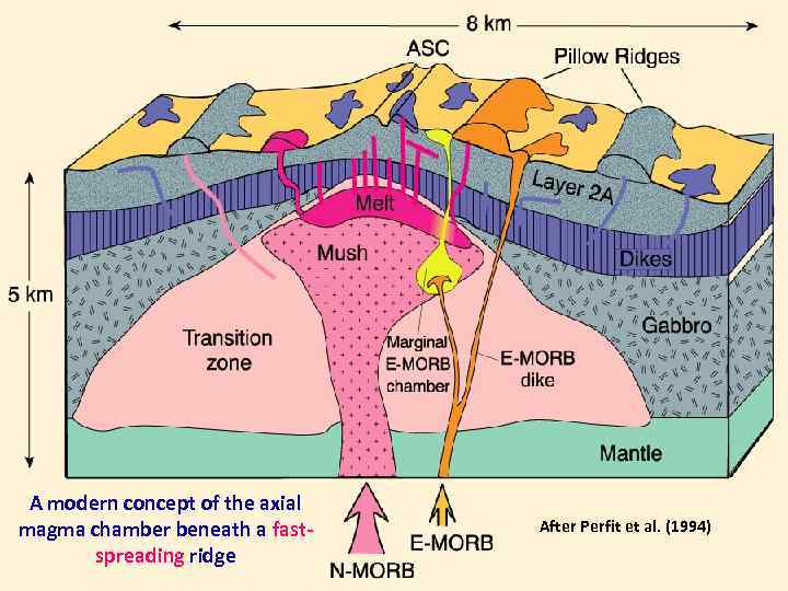 A modern concept of the axial magma chamber beneath a fastspreading ridge After Perfit