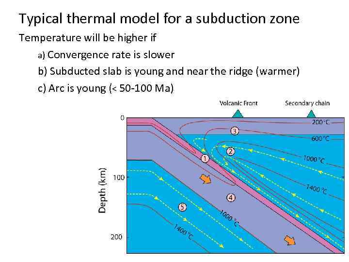 Typical thermal model for a subduction zone Temperature will be higher if a) Convergence