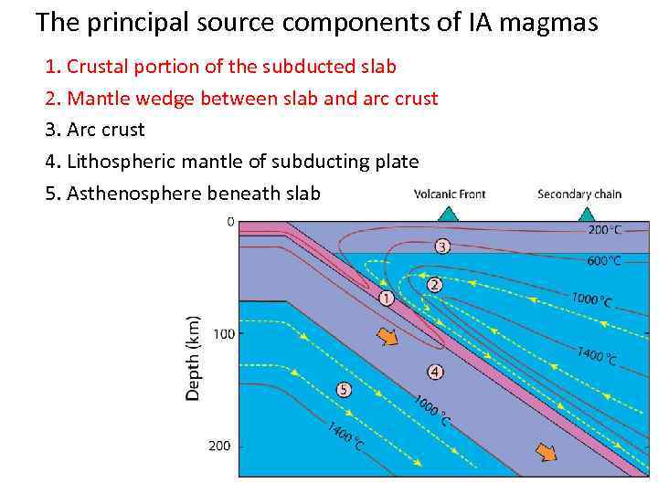 The principal source components of IA magmas 1. Crustal portion of the subducted slab