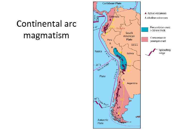 Continental arc magmatism 