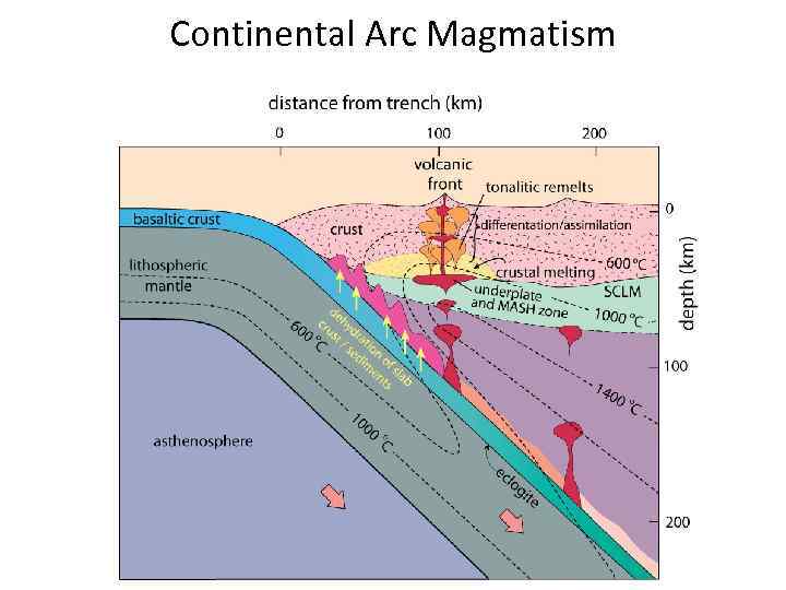 Continental Arc Magmatism 