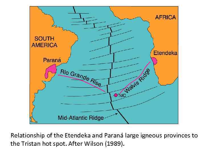 Relationship of the Etendeka and Paraná large igneous provinces to the Tristan hot spot.