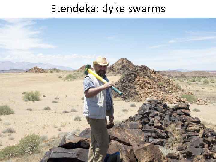 Etendeka: dyke swarms 
