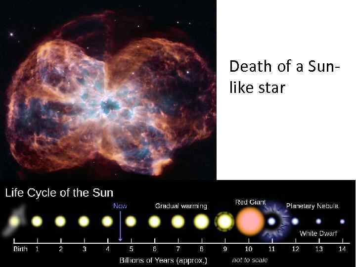 Death of a Sunlike star 