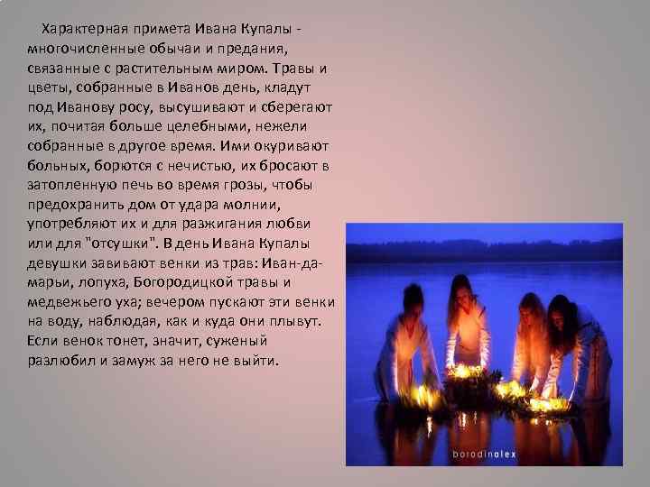  Характерная примета Ивана Купалы - многочисленные обычаи и предания, связанные с растительным миром.