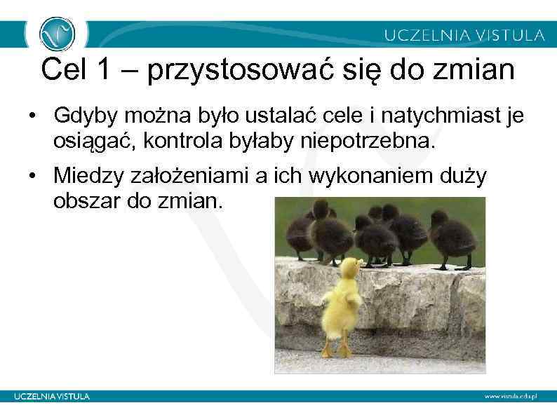 Cel 1 – przystosować się do zmian • Gdyby można było ustalać cele i