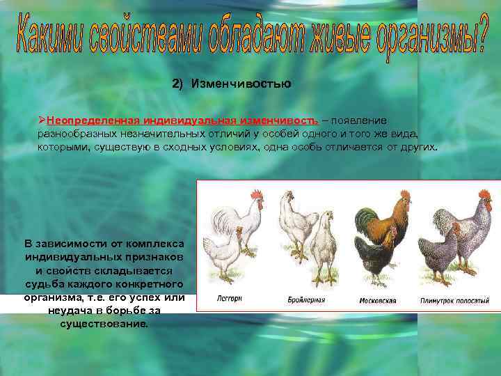 2) Изменчивостью ØНеопределенная индивидуальная изменчивость – появление разнообразных незначительных отличий у особей одного и