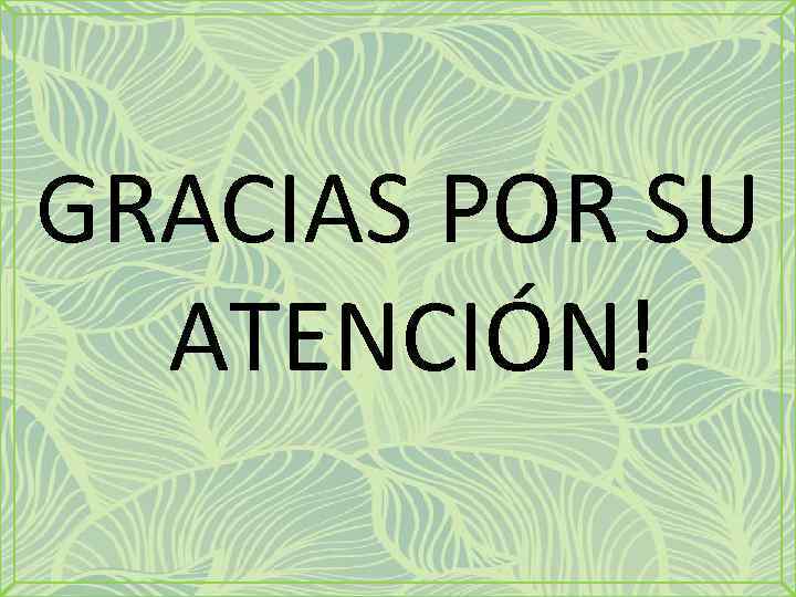 GRACIAS POR SU ATENCIÓN! 