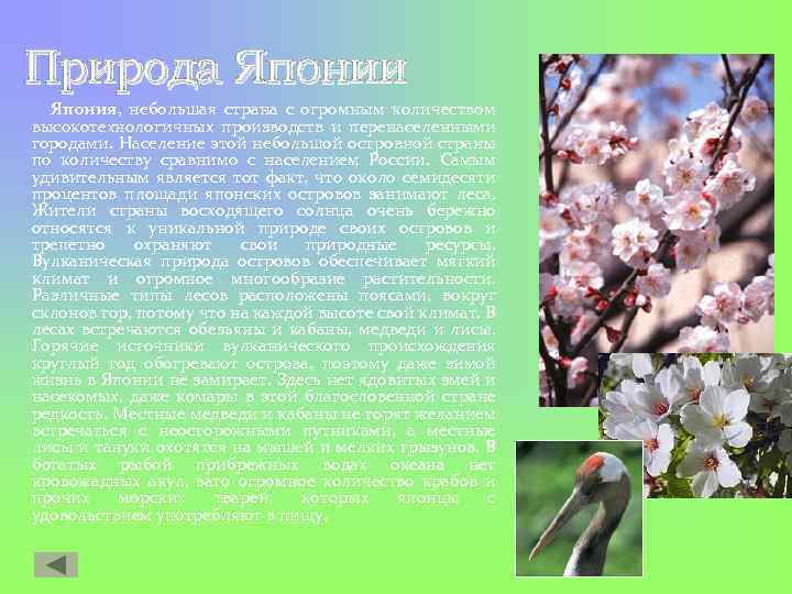 Природа Японии Япония, небольшая страна с огромным количеством высокотехнологичных производств и перенаселенными городами. Население