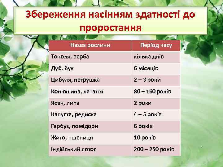 Збереження насінням здатності до проростання Назва рослини Період часу Тополя, верба кілька днів Дуб,