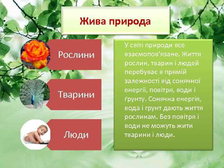 Жива природа Рослини Тварини Люди У світі природи все взаємопов'язане. Життя рослин, тварин і