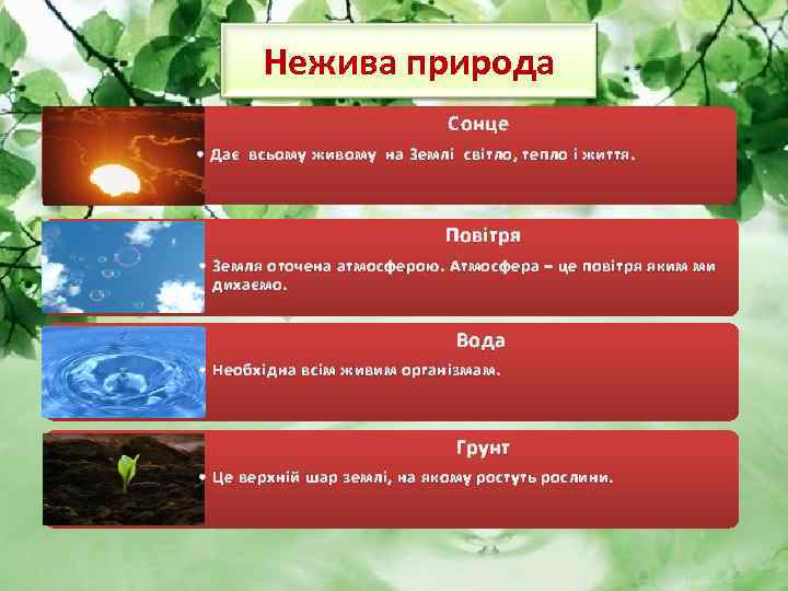 Нежива природа Сонце • Дає всьому живому на Землі світло, тепло і життя. Повітря