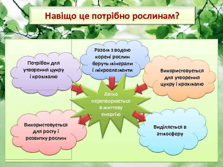 Навіщо це потрібно рослинам? Потрібен для утворення цукру і крохмалю Разом з водою корені