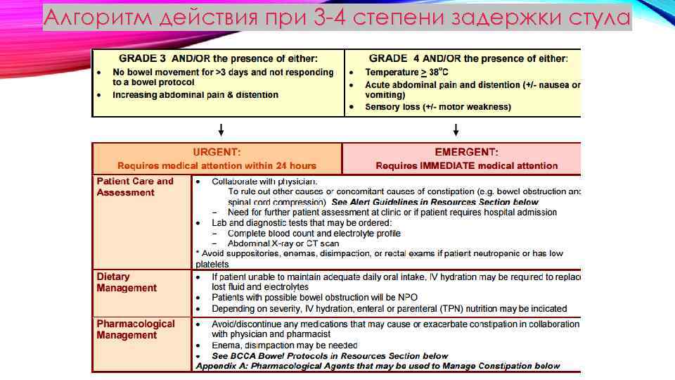 Алгоритм действия при 3 -4 степени задержки стула 