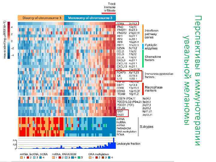 Перспективы в иммунотерапии увеальной меланомы 