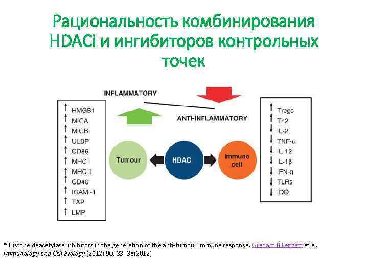 Рациональность комбинирования HDACi и ингибиторов контрольных точек * Histone deacetylase inhibitors in the generation