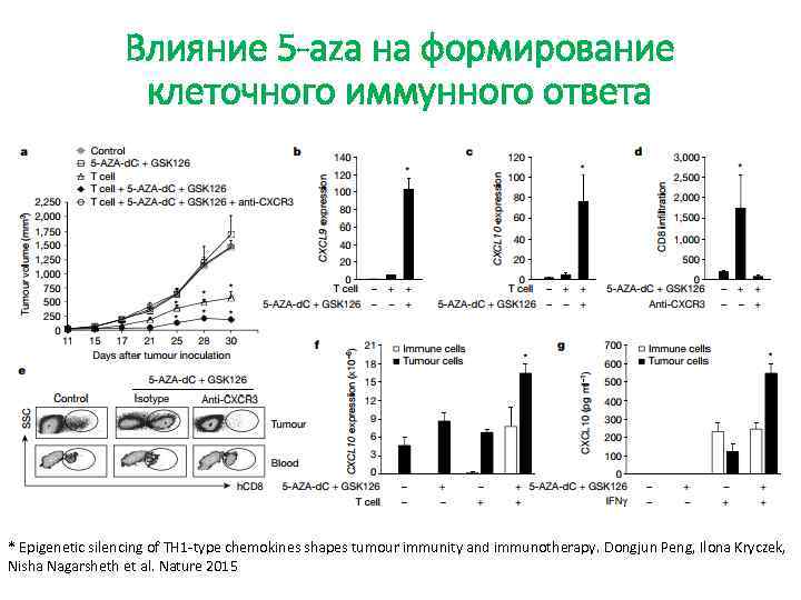 Влияние 5 -aza на формирование клеточного иммунного ответа * Epigenetic silencing of TH 1