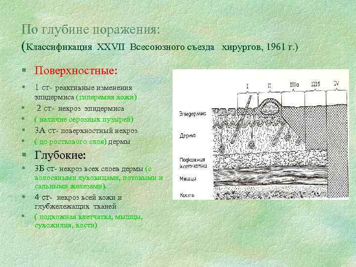 По глубине поражения: (Классификация XXVII Всесоюзного съезда хирургов, 1961 г. ) § Поверхностные: §