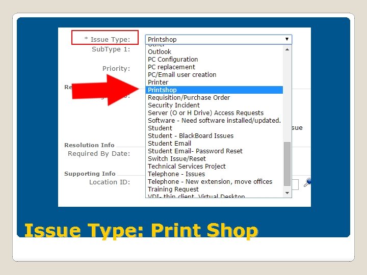 Issue Type: Print Shop 