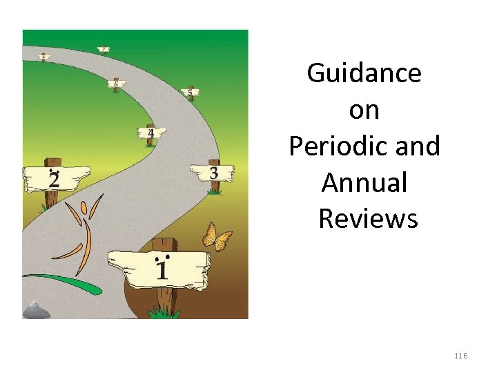 Guidance on Periodic and Annual Reviews 116 