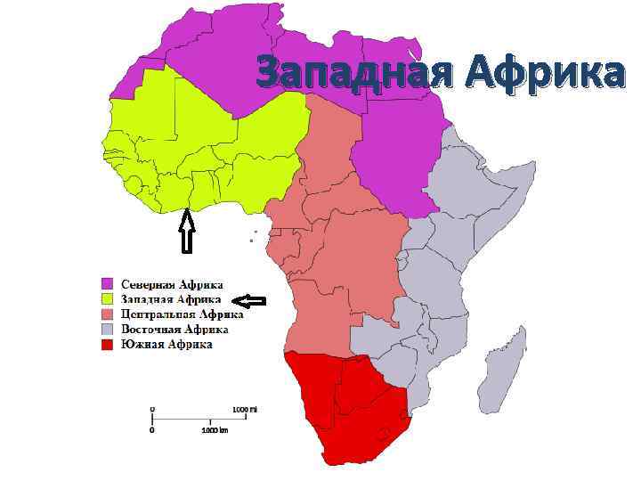 Крупнейшая страна западной африки. Западная Африка на карте. Страны Западной Африки на карте. Западное побережье Африки на карте. Западный берег Африки на карте.