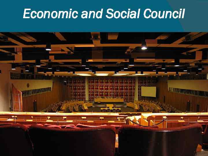 Economic and Social Council 