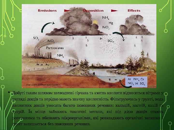 • Добуті таким шляхом зневоднені сірчана та азотна кислоти відносяться вітрами у вигляді