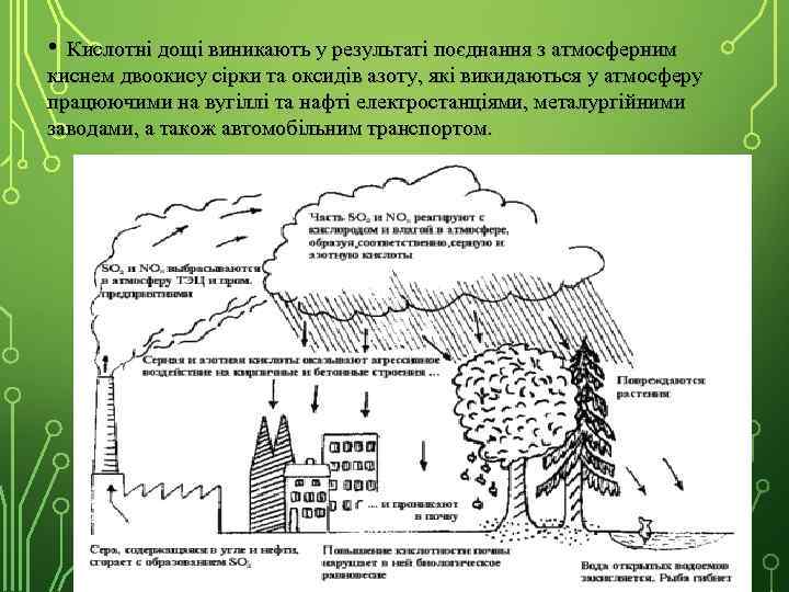  • Кислотні дощі виникають у результаті поєднання з атмосферним киснем двоокису сірки та