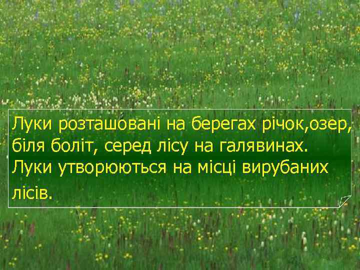 Луки розташовані на берегах річок, озер, біля боліт, серед лісу на галявинах. Луки утворюються