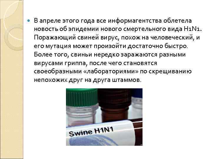  В апреле этого года все информагентства облетела новость об эпидемии нового смертельного вида