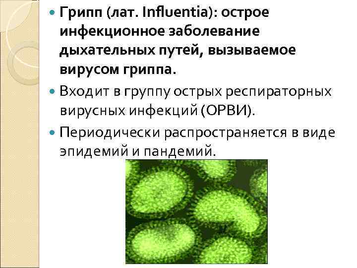  Грипп (лат. Influentia): острое инфекционное заболевание дыхательных путей, вызываемое вирусом гриппа. Входит в