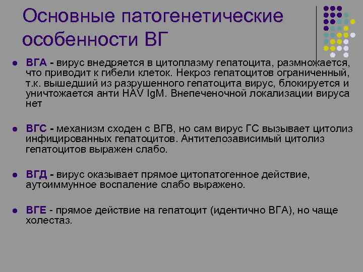 Основные патогенетические особенности ВГ l ВГА - вирус внедряется в цитоплазму гепатоцита, размножается, что