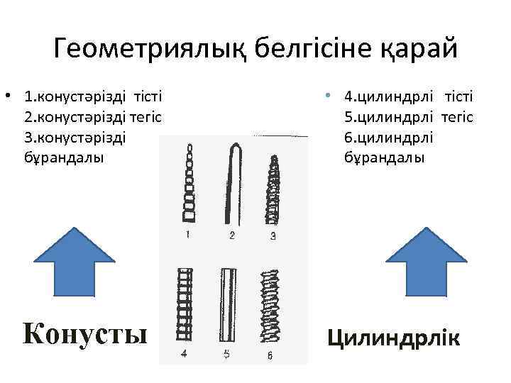 Геометриялық белгісіне қарай • 1. конустәрізді тісті 2. конустәрізді тегіс 3. конустәрізді бұрандалы Конусты