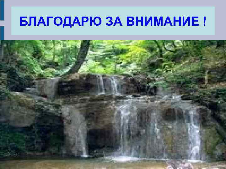 БЛАГОДАРЮ ЗА ВНИМАНИЕ ! 