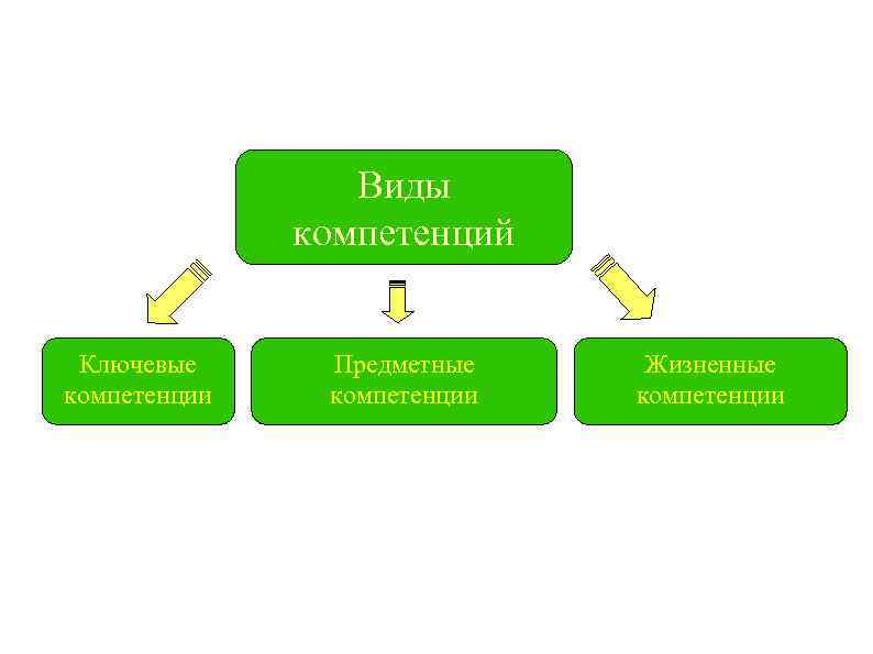 Виды компетенций Ключевые компетенции Предметные компетенции Жизненные компетенции 