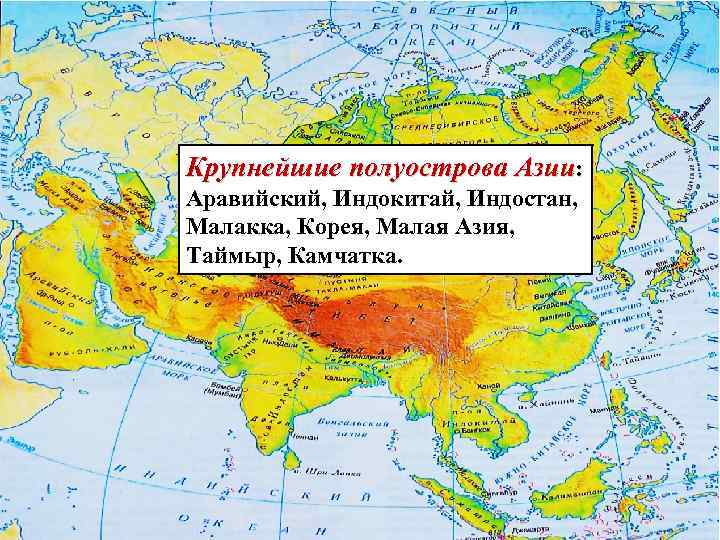 Крупнейшие полуострова Азии: Аравийский, Индокитай, Индостан, Малакка, Корея, Малая Азия, Таймыр, Камчатка. 