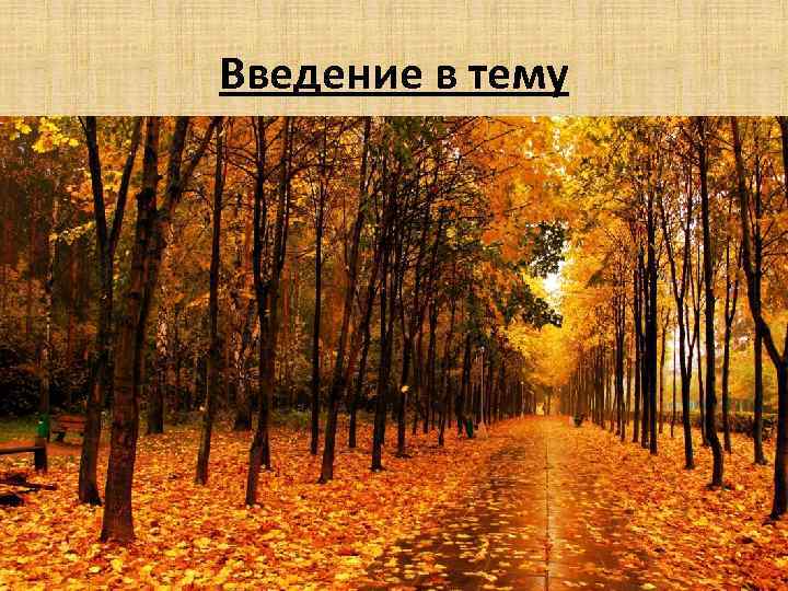 Введение в тему 