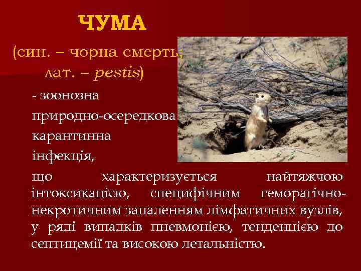 ЧУМА (син. – чорна смерть; лат. – реstis) - зоонозна природно-осередкова карантинна інфекція, що