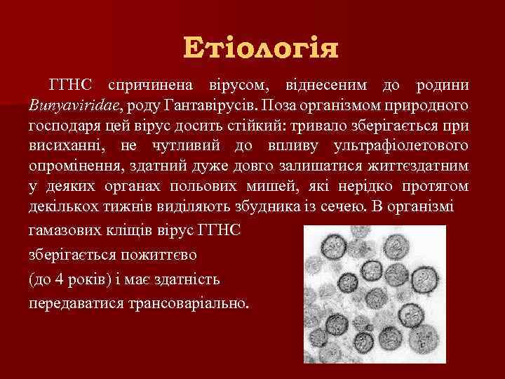 Етіологія ГГНС спричинена вірусом, віднесеним до родини Bunyaviridae, роду Гантавірусів. Поза організмом природного господаря