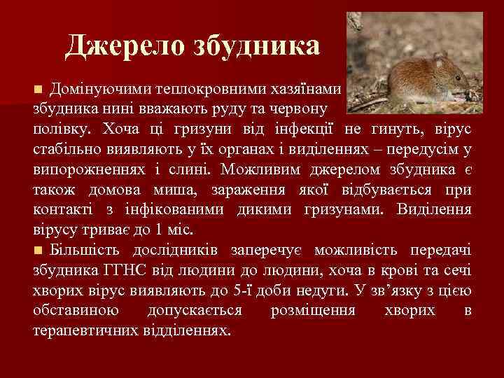 Джерело збудника Домінуючими теплокровними хазяїнами збудника нині вважають руду та червону полівку. Хоча ці