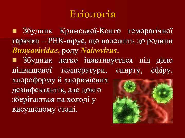 Етіологія Збудник Кримської-Конго геморагічної гарячки – РНК-вірус, що належить до родини Bunyaviridae, роду Nairovirus.