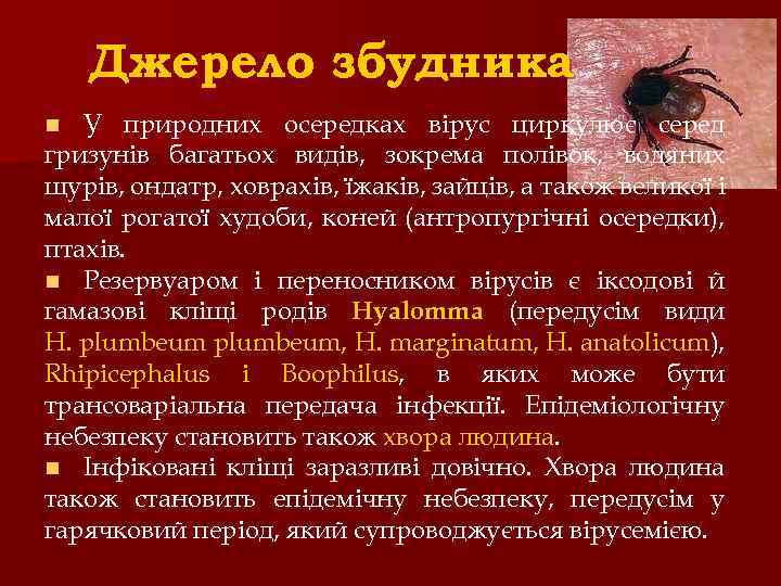 Джерело збудника У природних осередках вірус циркулює серед гризунів багатьох видів, зокрема полівок, водяних