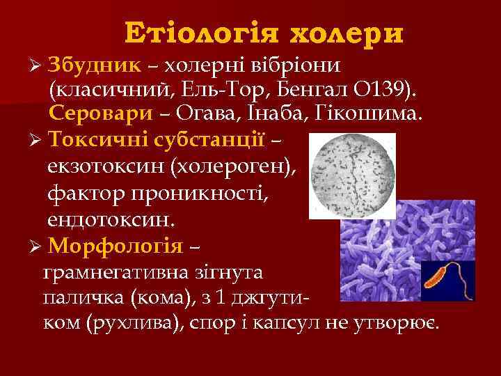 Етіологія холери – холерні вібріони (класичний, Ель-Тор, Бенгал О 139). Серовари – Огава, Інаба,