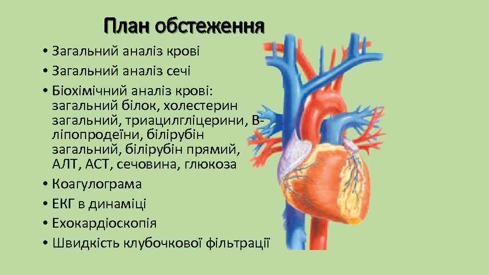 План обстеження • Загальний аналіз крові • Загальний аналіз сечі • Біохімічний аналіз крові:
