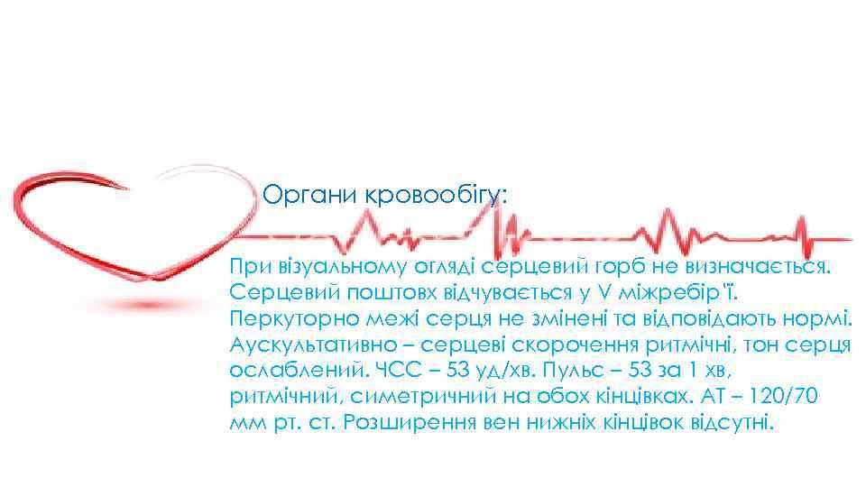 Органи кровообігу: При візуальному огляді серцевий горб не визначається. Серцевий поштовх відчувається у V