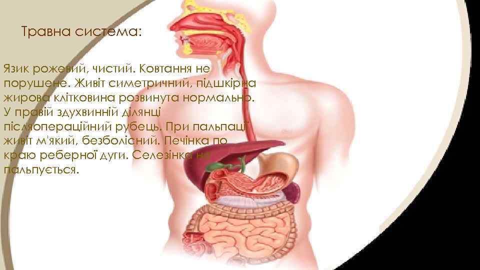 Травна система: Язик рожевий, чистий. Ковтання не порушене. Живіт симетричний, підшкірна жирова клітковина розвинута