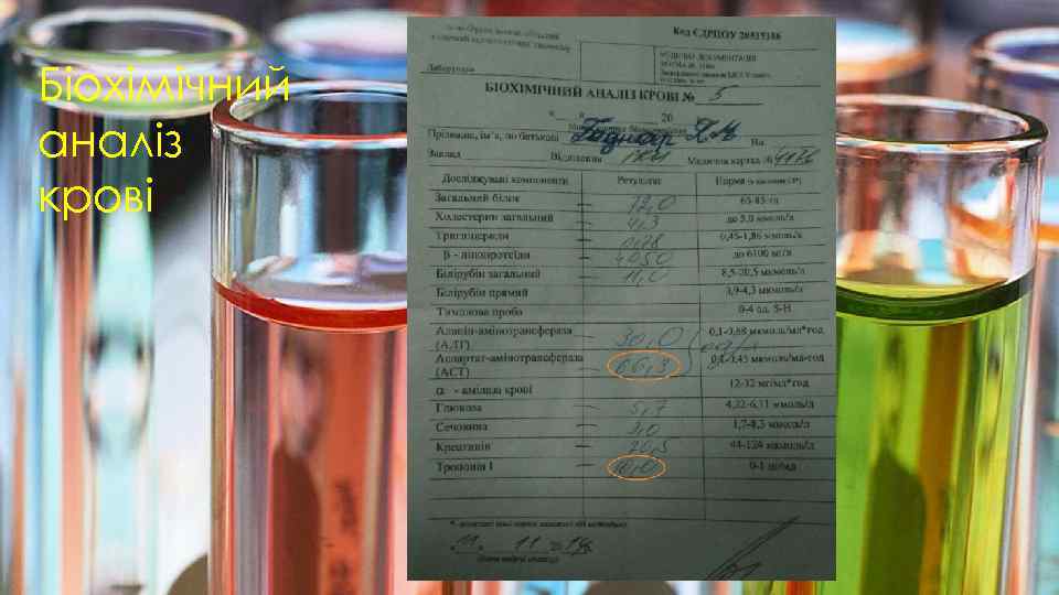 Біохімічний аналіз крові 