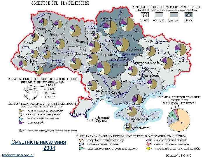 Смертність населення 2004 http: //www. menr. gov. ua/ 