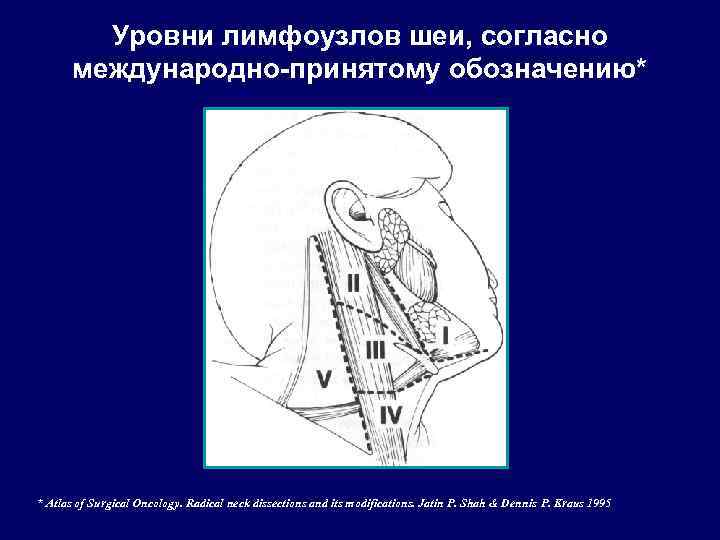 Группы шейных лимфоузлов схема