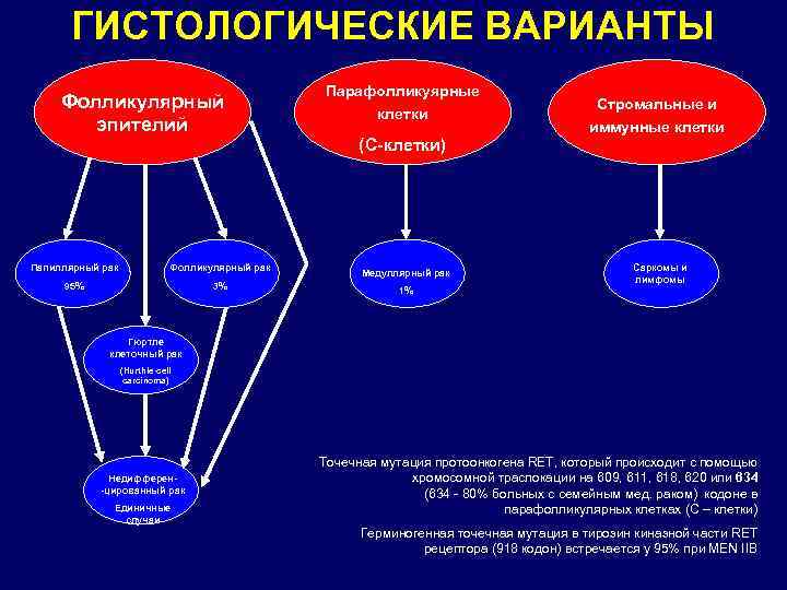ГИСТОЛОГИЧЕСКИЕ ВАРИАНТЫ Фолликулярный эпителий Папиллярный рак Фолликулярный рак 95% 3% Парафолликуярные клетки (С-клетки) Медуллярный